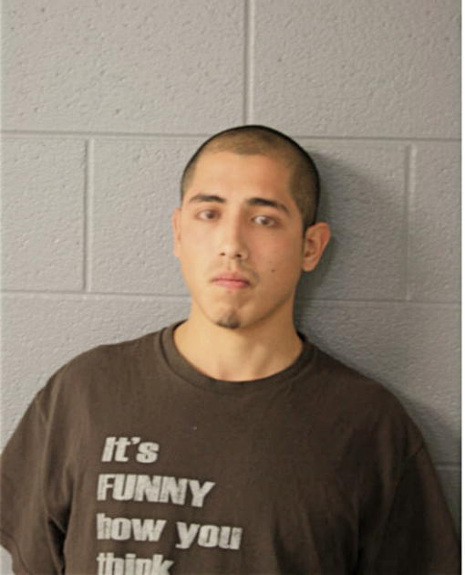 JESUS GONZALEZ, Cook County, Illinois