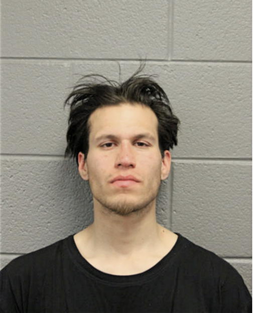DAVID J GURNEAU, Cook County, Illinois