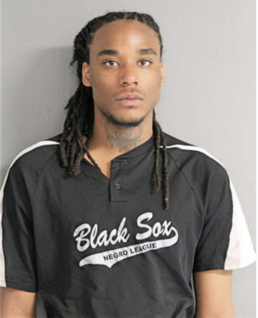 GABRIEL HAYES, Cook County, Illinois