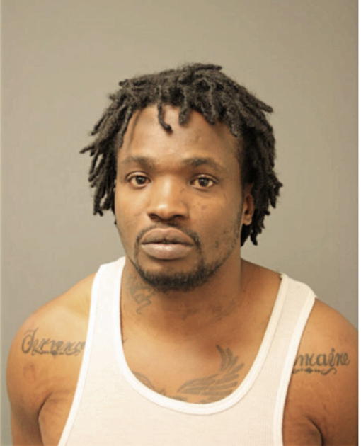 TERRENCE M JACKSON, Cook County, Illinois