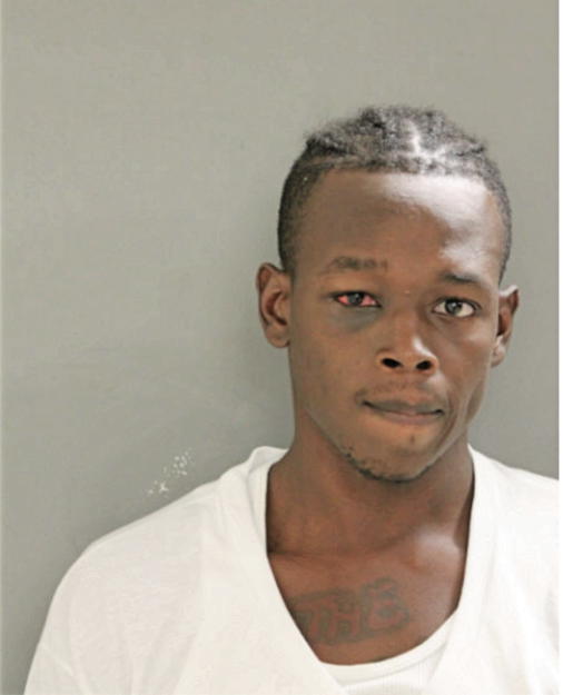 DAVID M JOHNSON, Cook County, Illinois