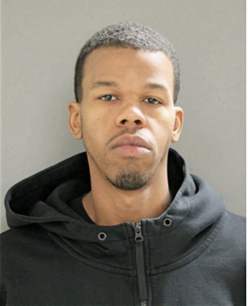 MICHAEL A JOHNSON, Cook County, Illinois
