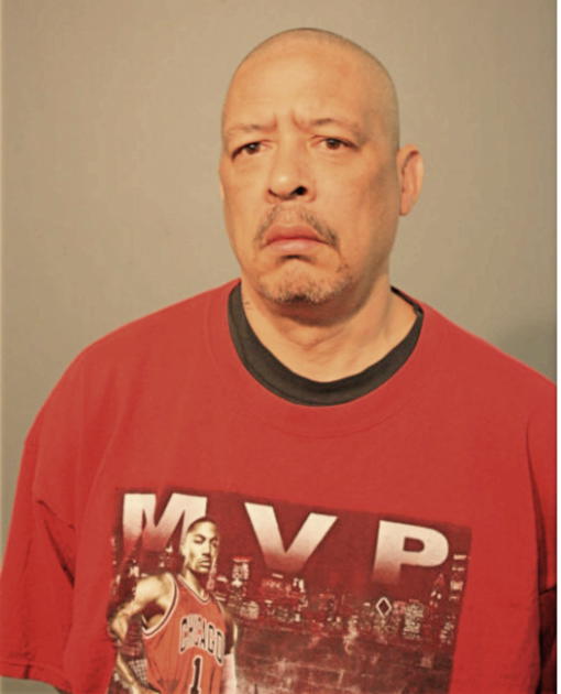 VINCENT L KING, Cook County, Illinois