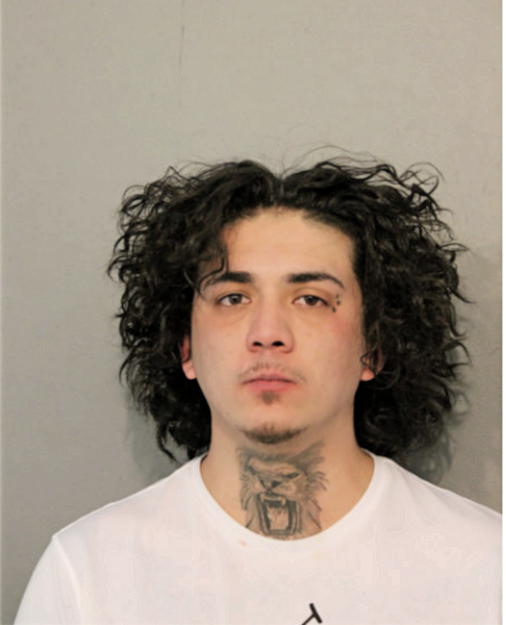 CHRISTIAN E LEEK, Cook County, Illinois