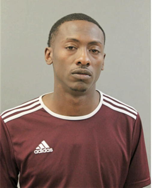 BRYAN R MARTIN, Cook County, Illinois