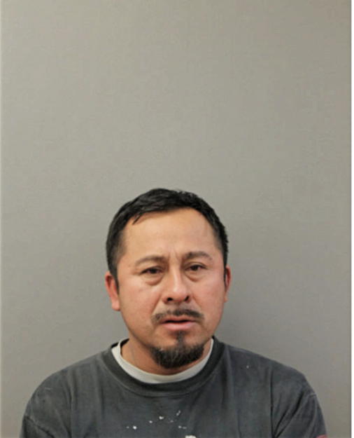 ANDRADE MARTINEZ-GOMEZ, Cook County, Illinois