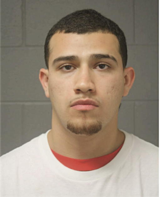 PEDRO G MARTINEZ, Cook County, Illinois