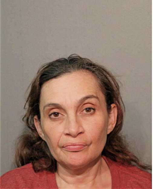 LUZ V MILLAN, Cook County, Illinois