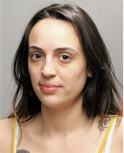 NINA ROMAN, Cook County, Illinois