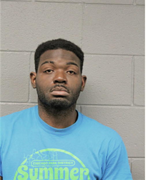 DAVID T STANCIEL, Cook County, Illinois