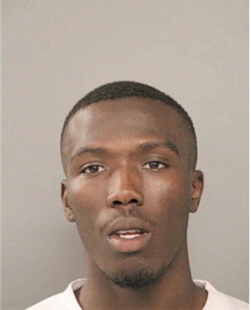 LESLIE K STOKES, Cook County, Illinois