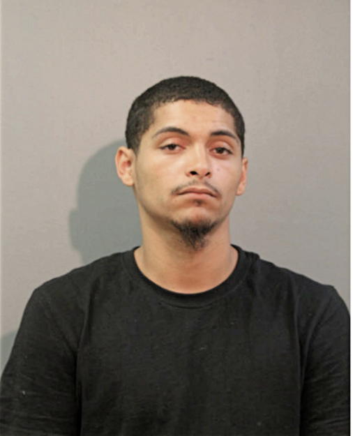 ERIC D WILLIAMS, Cook County, Illinois