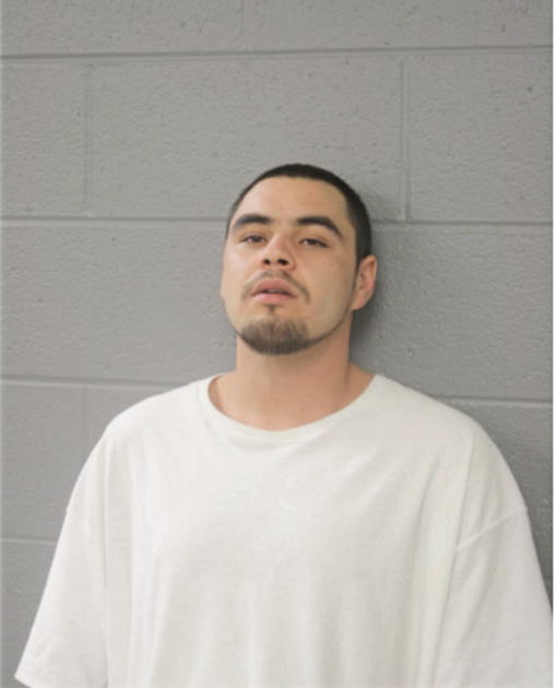EMMANUEL AYALA, Cook County, Illinois