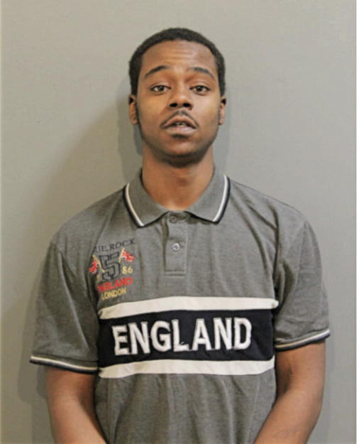 DAVID D BROWN, Cook County, Illinois
