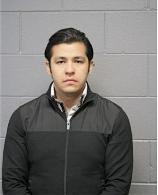 MICHEL CABRERA, Cook County, Illinois