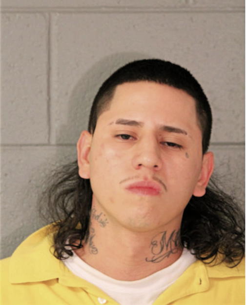 ALFONSO FIERRO, Cook County, Illinois