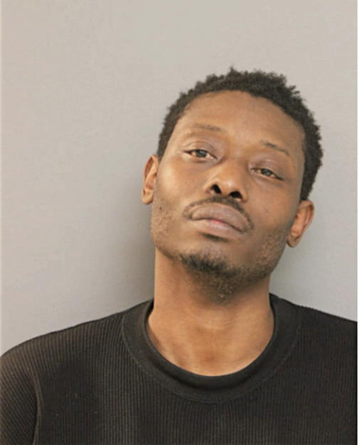 JESSE J HAMILTON, Cook County, Illinois