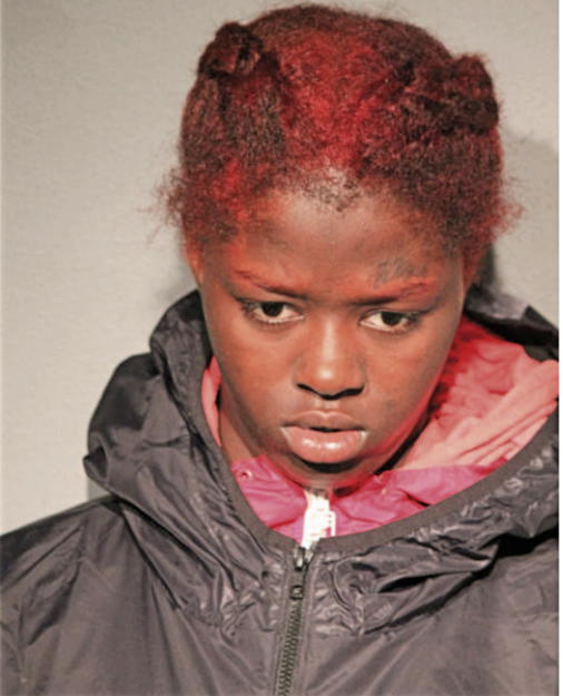 SHIRLEY M LEWIS, Cook County, Illinois