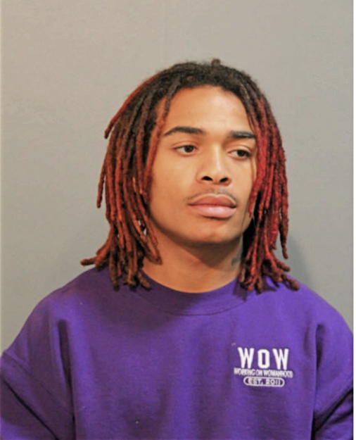 DONALD X LIGHTFOOT, Cook County, Illinois