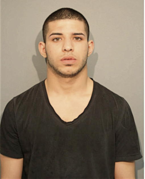 MAHDI S MAHDI, Cook County, Illinois