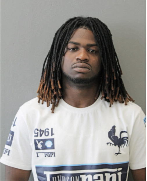 ANTON S MATTHEWS, Cook County, Illinois