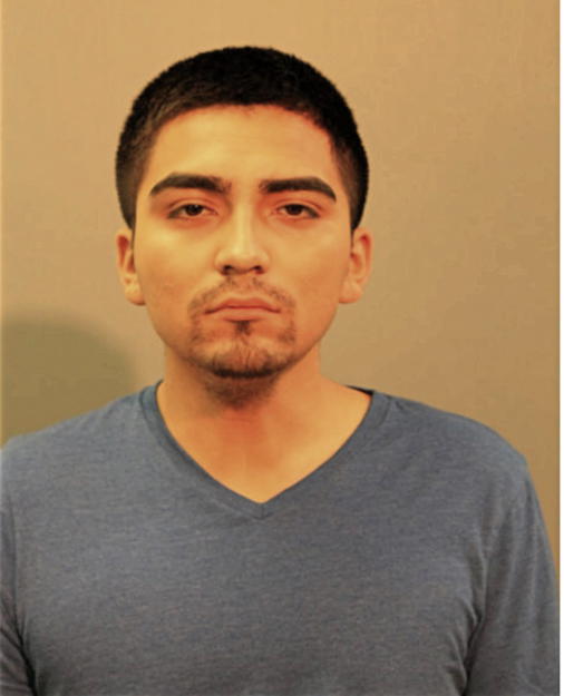 JOSUE E MENDOZA BARRERA, Cook County, Illinois