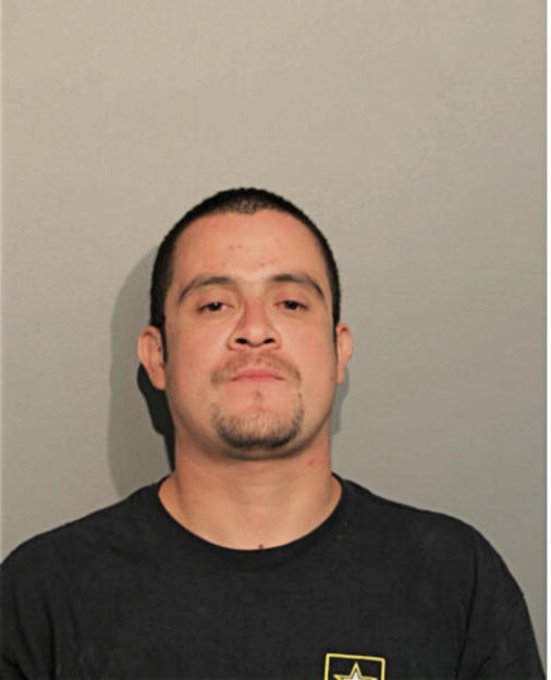 MELVIN B PAZ, Cook County, Illinois