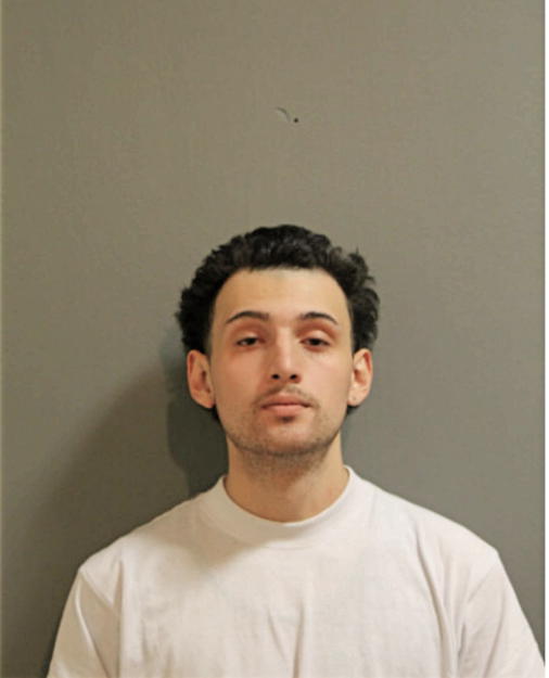 CHRISTIAN P PENA, Cook County, Illinois