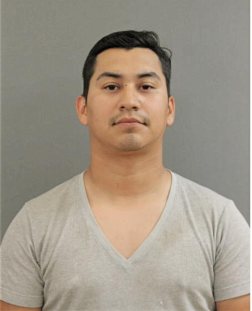 ALAN G PRADO SANCHEZ, Cook County, Illinois