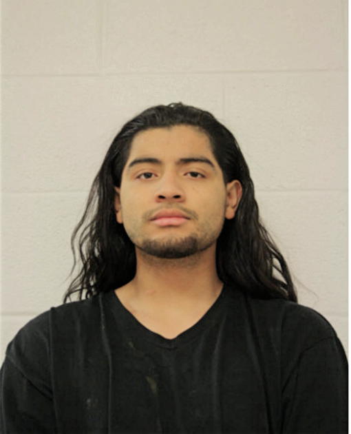 ALEX A REYES, Cook County, Illinois