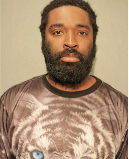 DAMIEN L ROBINS, Cook County, Illinois