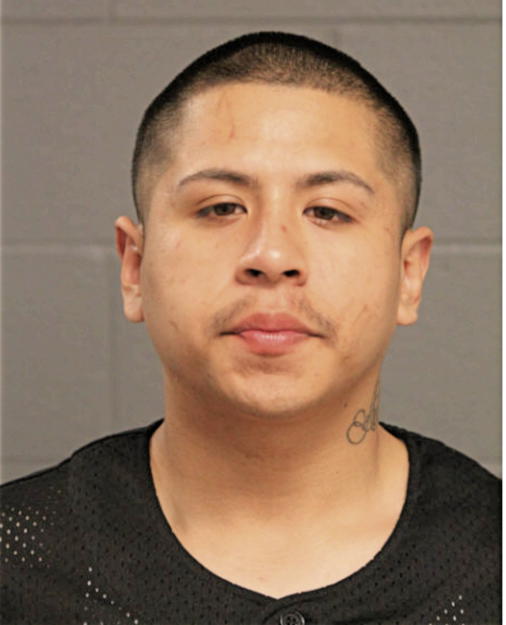 JAVIER J TILAPA, Cook County, Illinois