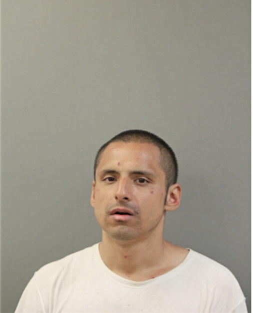 FRANCISCO J VEGA, Cook County, Illinois