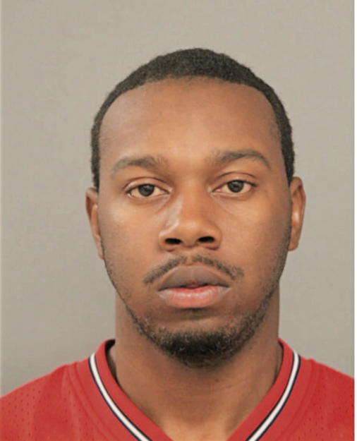 TYRONE J WEBSTER, Cook County, Illinois