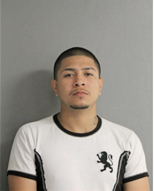 ERNESTO R AGUAYO, Cook County, Illinois