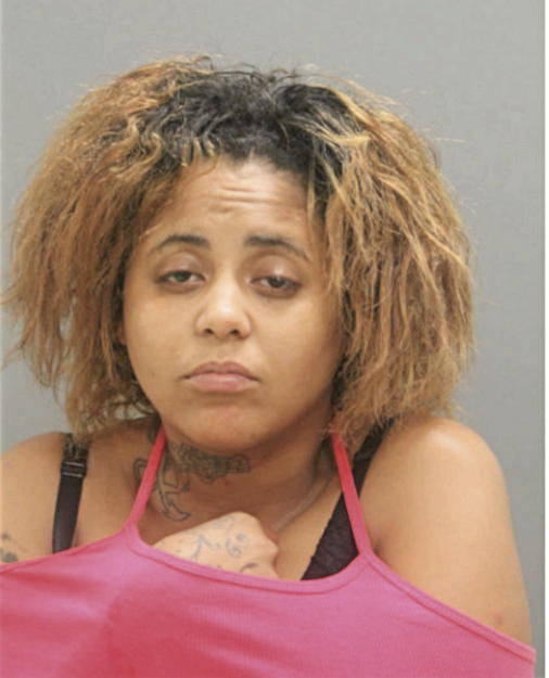 ERICA J BOONE, Cook County, Illinois