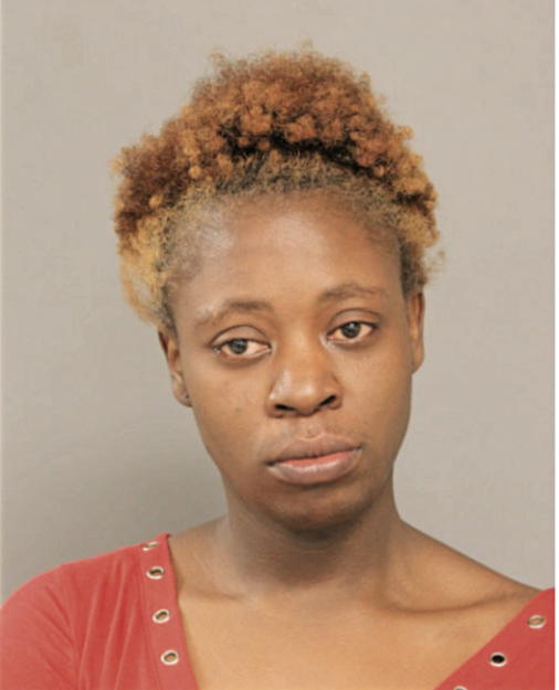 GEORGINA P DAVIS, Cook County, Illinois