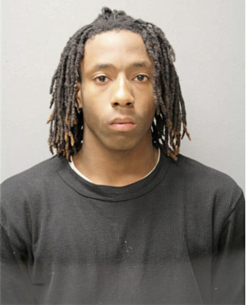 TERRENCE M DICKERSON, Cook County, Illinois