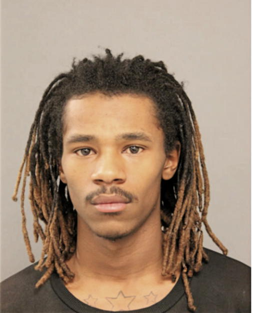 CHRISTOPHER J ELLIS, Cook County, Illinois