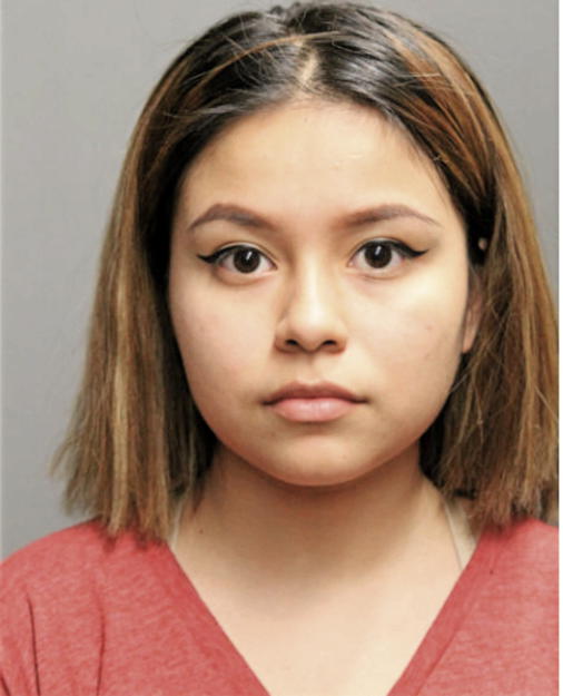 JULISSA B FERNANDEZ, Cook County, Illinois