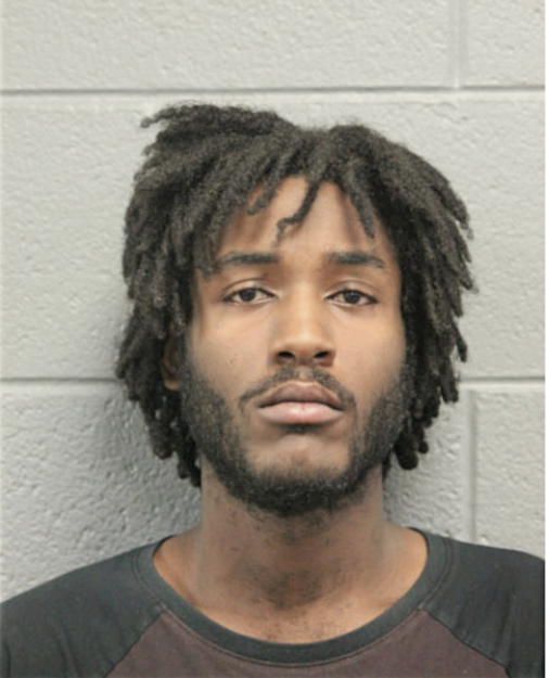 MICHAEL FLEMING, Cook County, Illinois