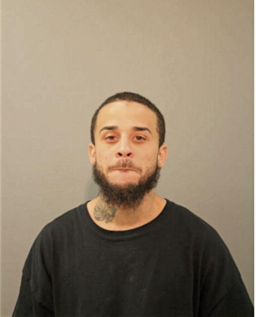 LUIS A FUENTES-CATALA, Cook County, Illinois