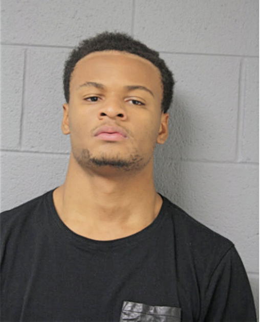 LEVERN M JOHNSON, Cook County, Illinois