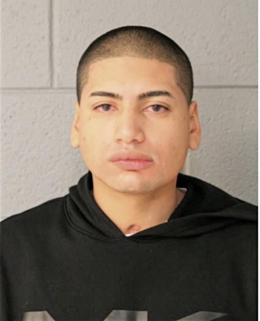 ANGEL B LUNA-GODOY, Cook County, Illinois