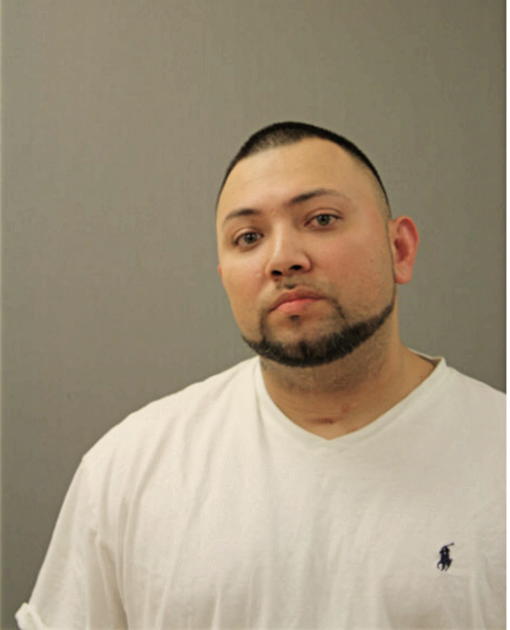 RICHARD J LUNA, Cook County, Illinois