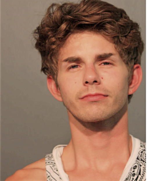 MICHAEL J MCGUIRE, Cook County, Illinois