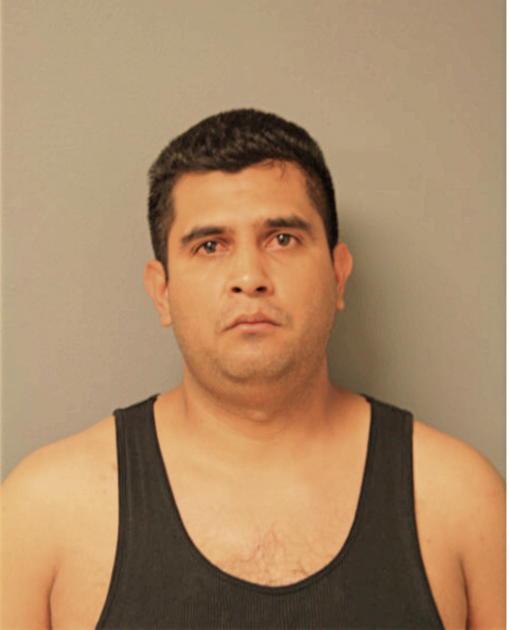 SERGIO MENDOZA, Cook County, Illinois
