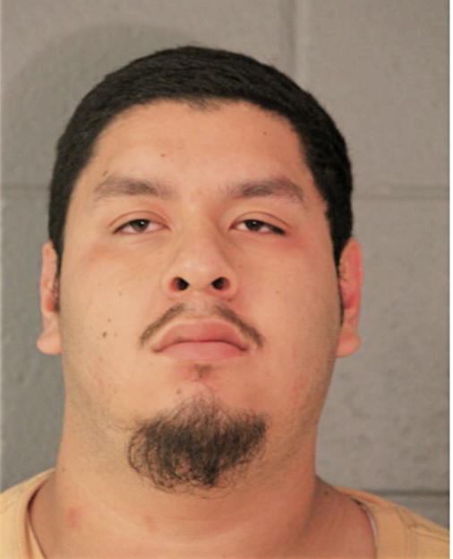 MIGUEL OCHOA, Cook County, Illinois