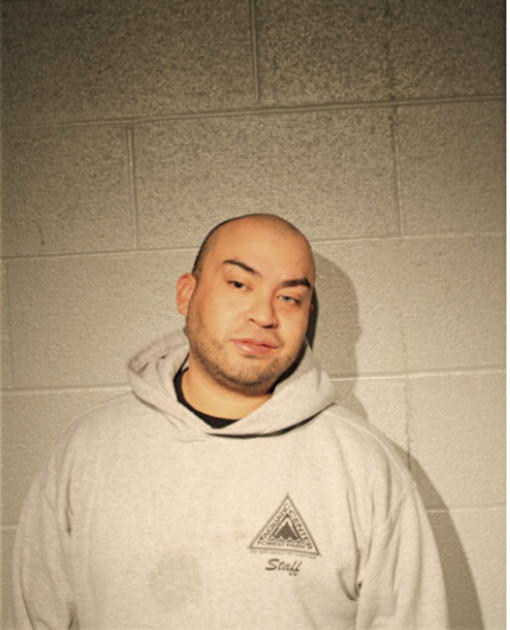 LUIS F REGULES, Cook County, Illinois