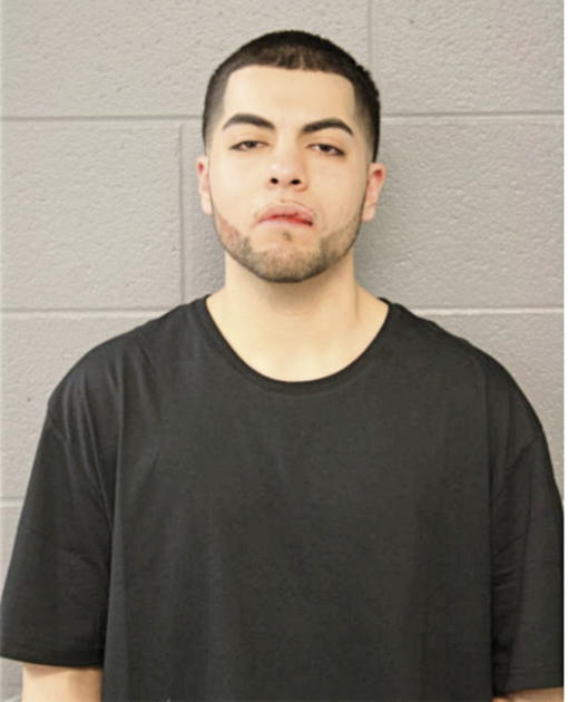 ROBERTO ZAMORA-MEDINA, Cook County, Illinois